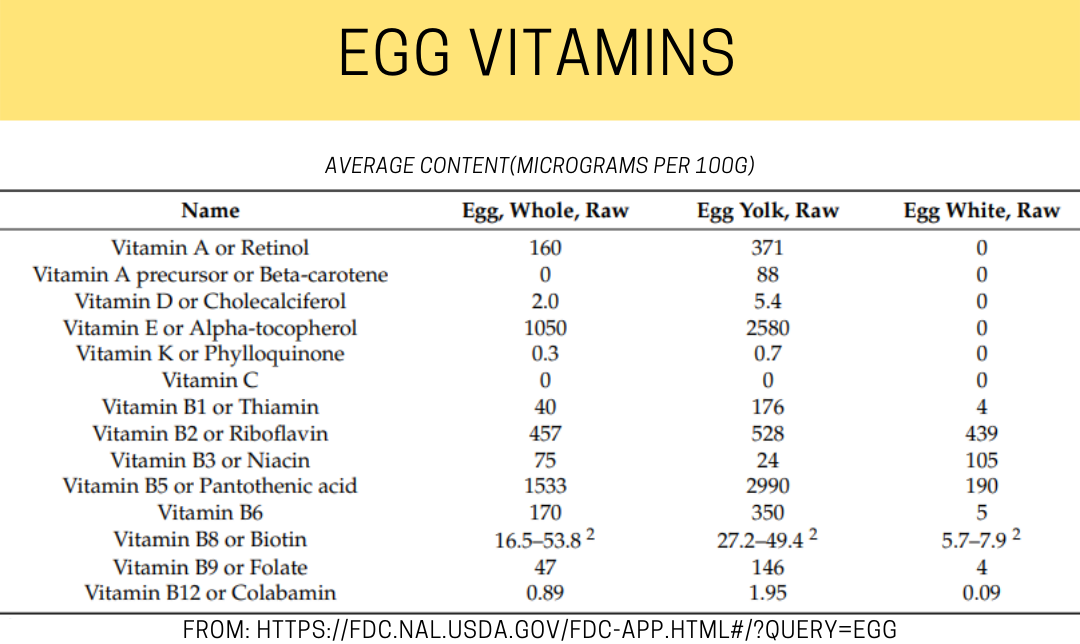 Egg and Egg White Nutrition Modus Energy Nutrition Coaching